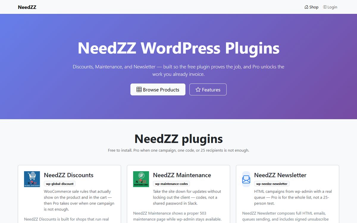 Landing NeedZZ WordPress